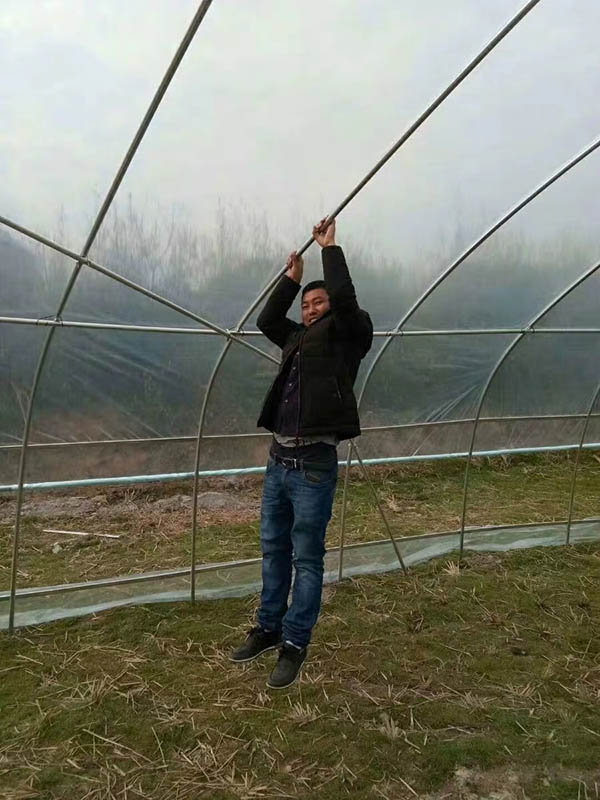 呼伦贝尔单体大棚